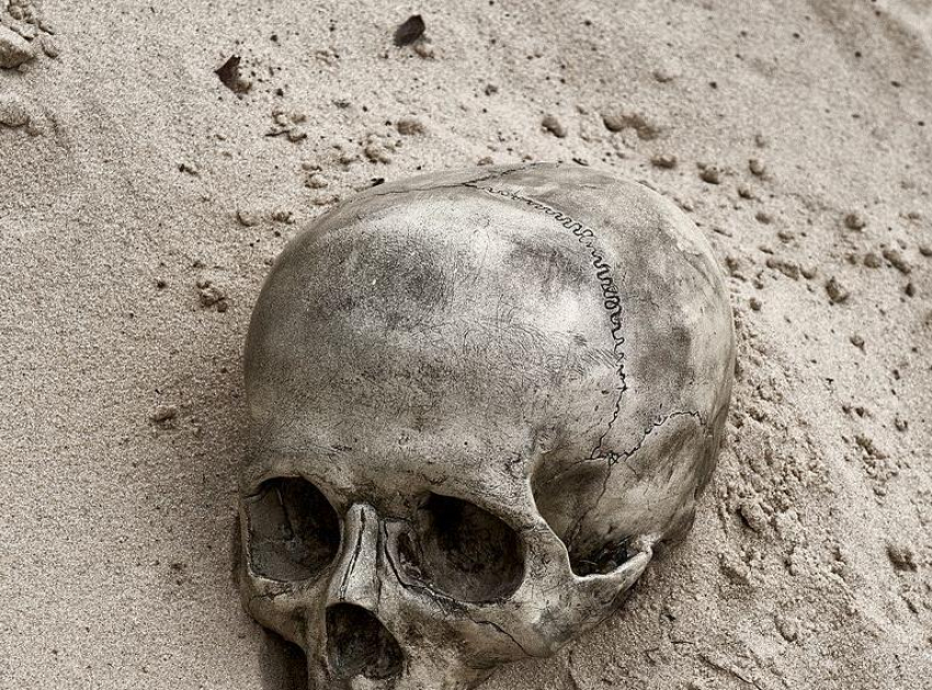 Камышинские следователи занимаются историей с человеческим черепом, «возникшим» из-под земли