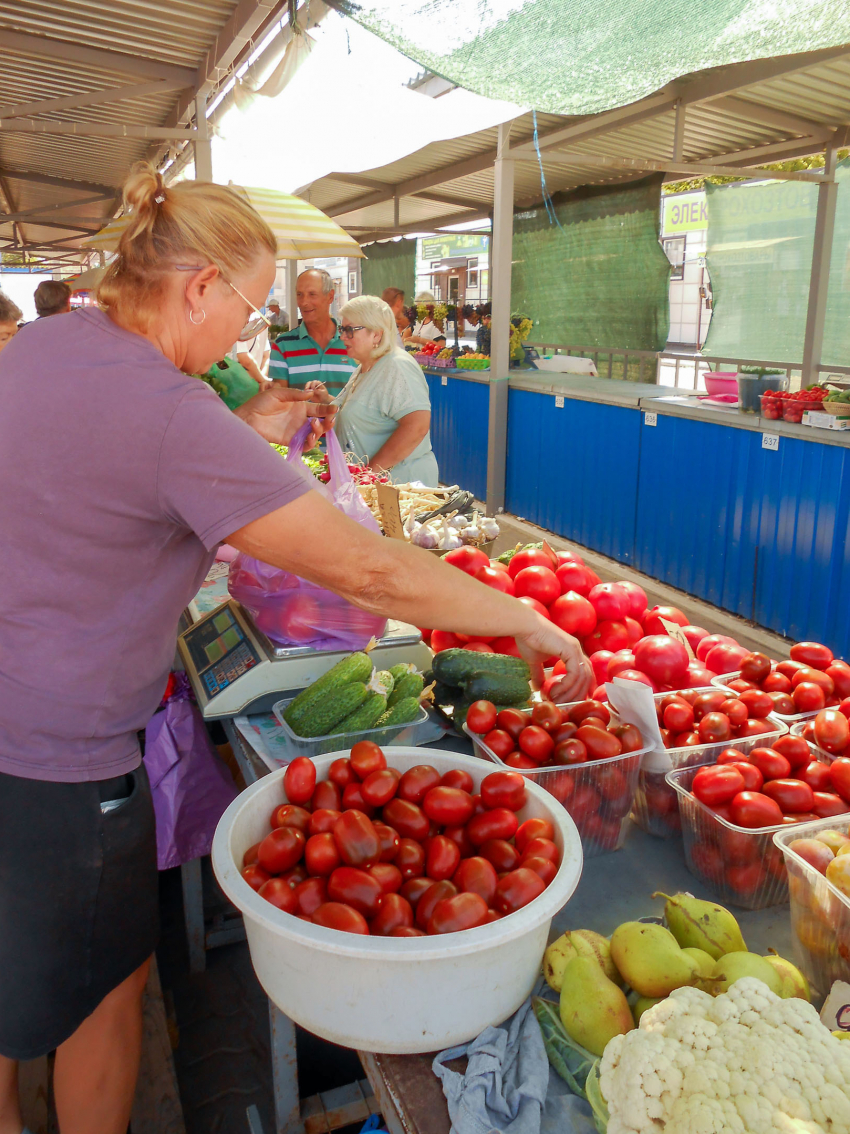 В Камышине помидоры подешевели до 50 рублей за килограмм, но...