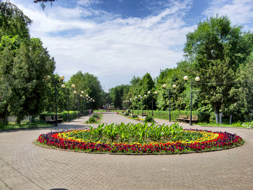 35-градусная жара и несбывающиеся дожди: что говорят синоптики о погоде в Камышине 16 июня