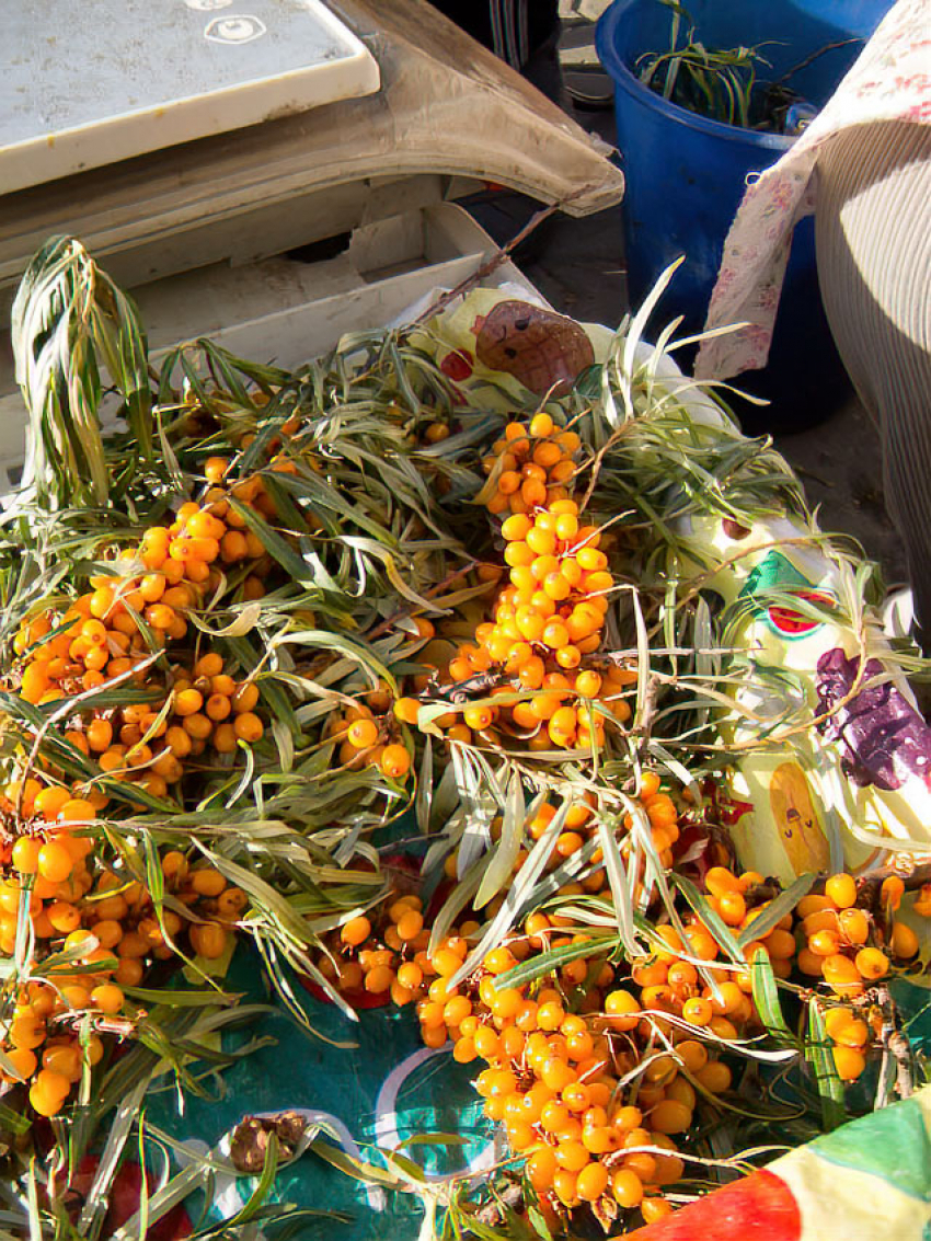 В Роспотребнадзоре камышанам велели съедать каждый день 400 граммов овощей, ягод и фруктов, чтобы устоять перед гриппом и ОРВИ