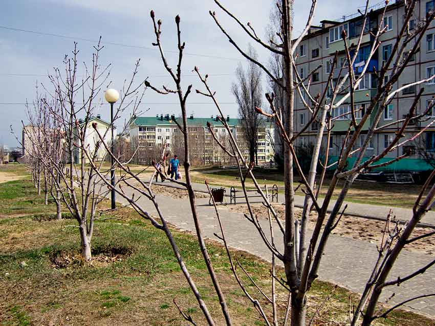 Коммунальщики Камышина 20 апреля вновь отключат электричество в разных частях города