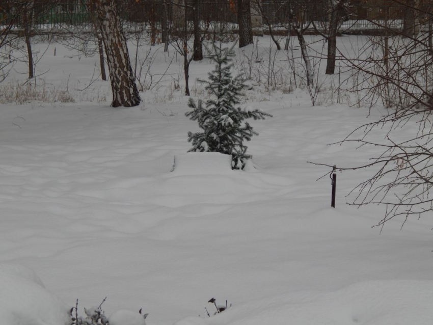 Памятную плиту в камышинском парке Комсомольцев-добровольцев заметает снегом