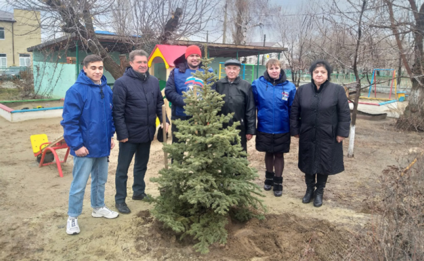 Жители Волгоградкой области назвали замаливанием грехов акцию единороссов с высадкой елок