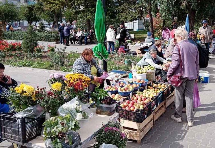 В Камышине от фруктов и цветов стали необычно красивыми обычные рынки