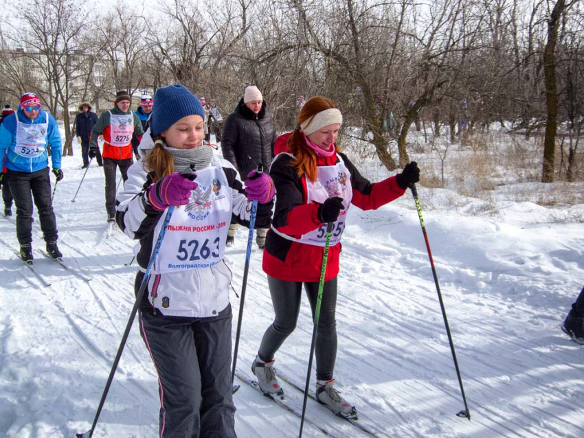 Городской чемпионат по лыжам собрал в камышинском лесопитомнике спортсменов всех возрастов