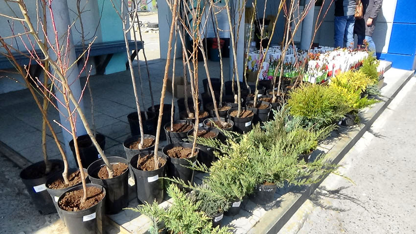 Воскресенье 30 марта окажется дождливым, зато понедельник - солнечным и жарким