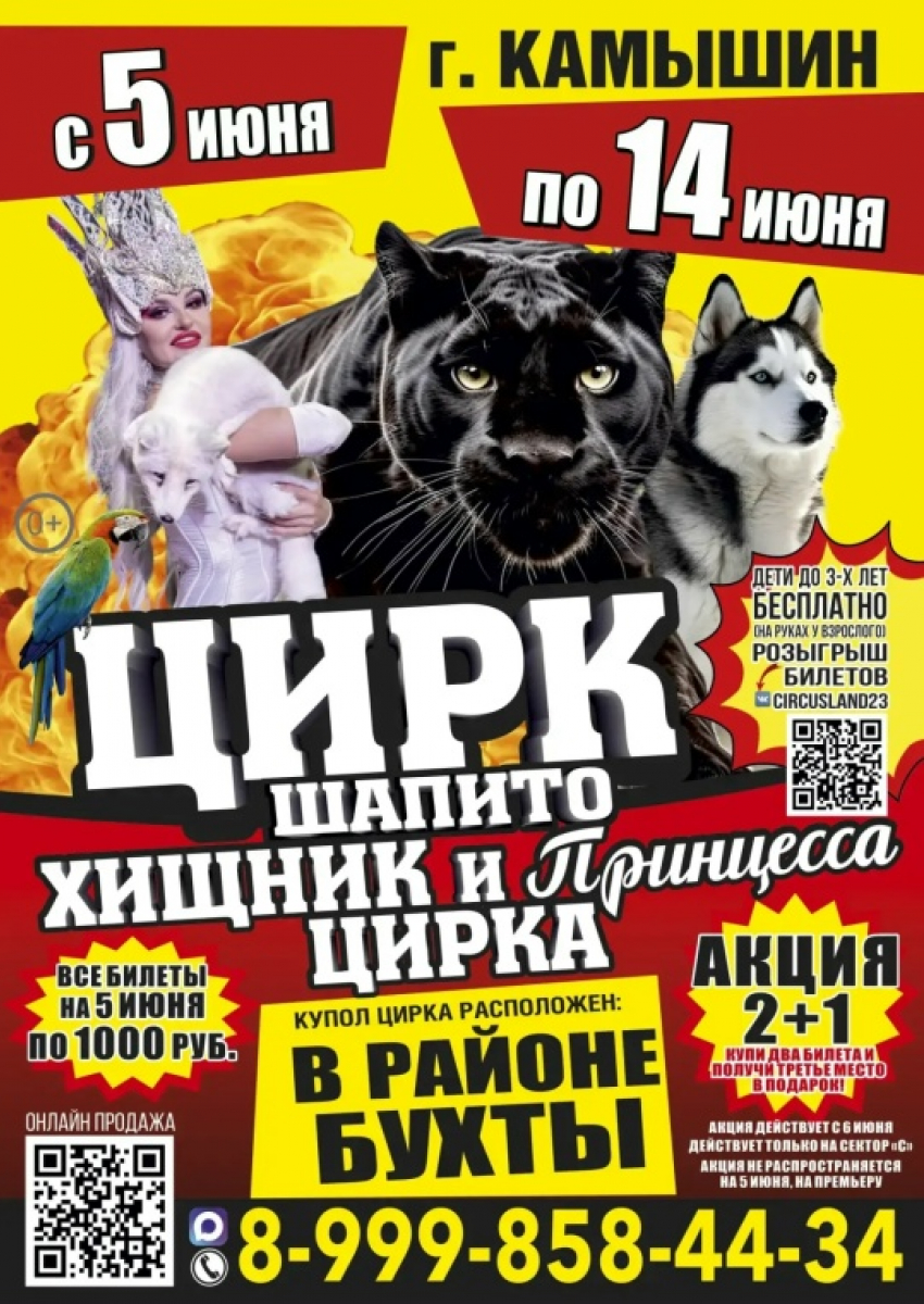 Почему по Камышину опять носится машина с рекламой «бродячего» цирка? - камышанка