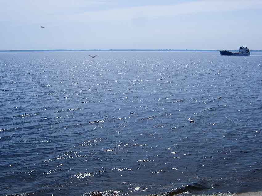 В РусГидро обещают, что Волга, в том числе у Камышина, больше мелеть не будет