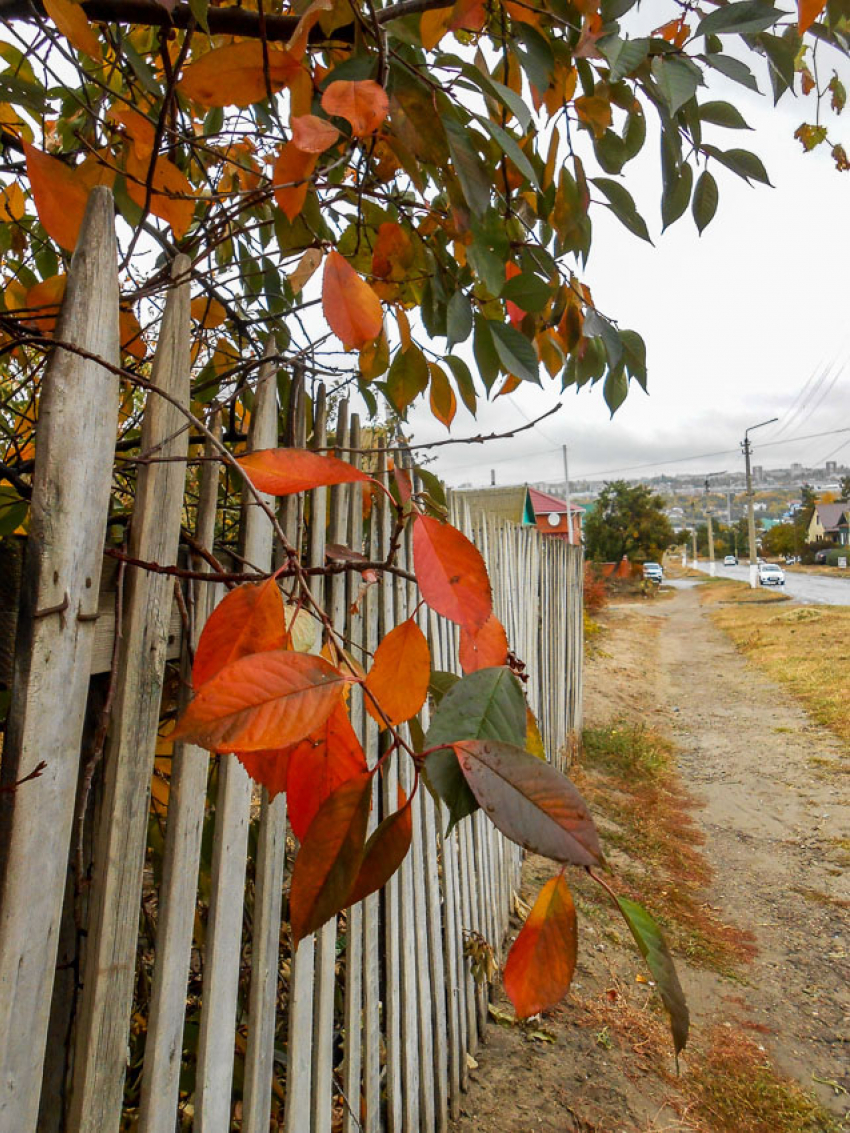 Сегодня, 12 октября, сообщения о беспилотной опасности пришли камышанам на телефоны утром