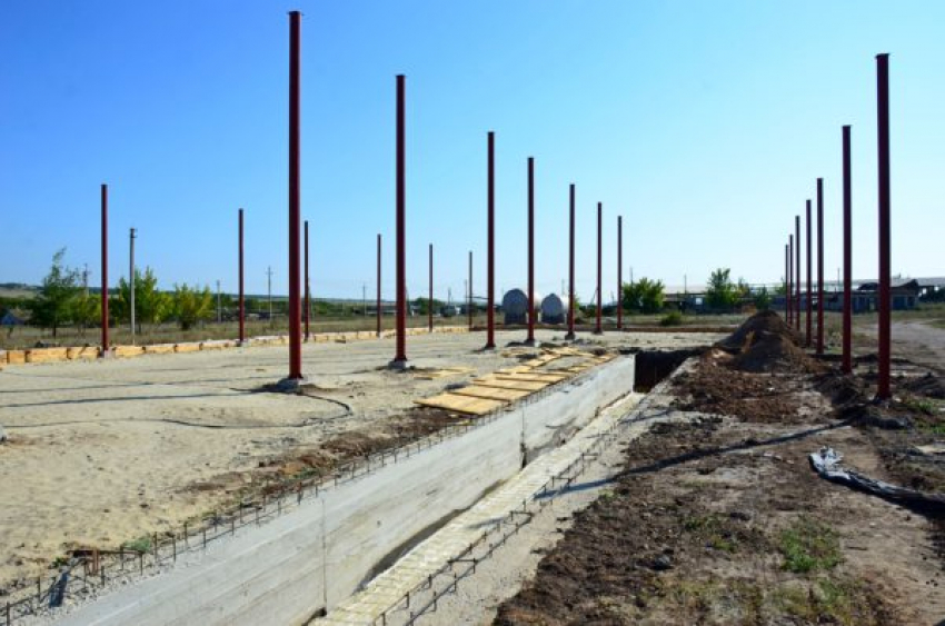 В Камышинском районе готовят площадки под переработку «ее величества» штирийской тыквы