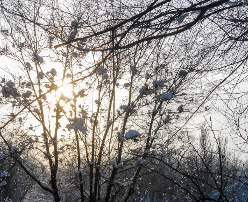 Саратовскую трассу закрыли в Камышинском районе из-за сильного тумана 