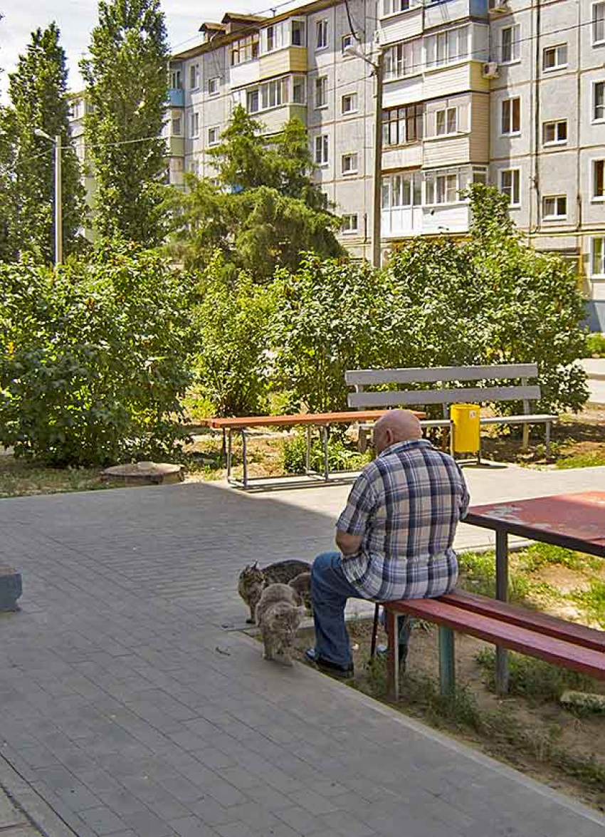 Работающим жителям Волгоградской области старше 65 лет Андрей Бочаров предписал соблюдать режим самоизоляции по 12 июля
