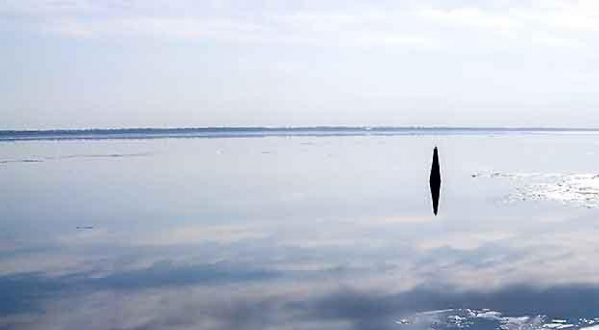 Вода в реке у Камышина, где водолазы ищут пропавшего при крушении катера мальчика, была не теплее 2-3 градусов