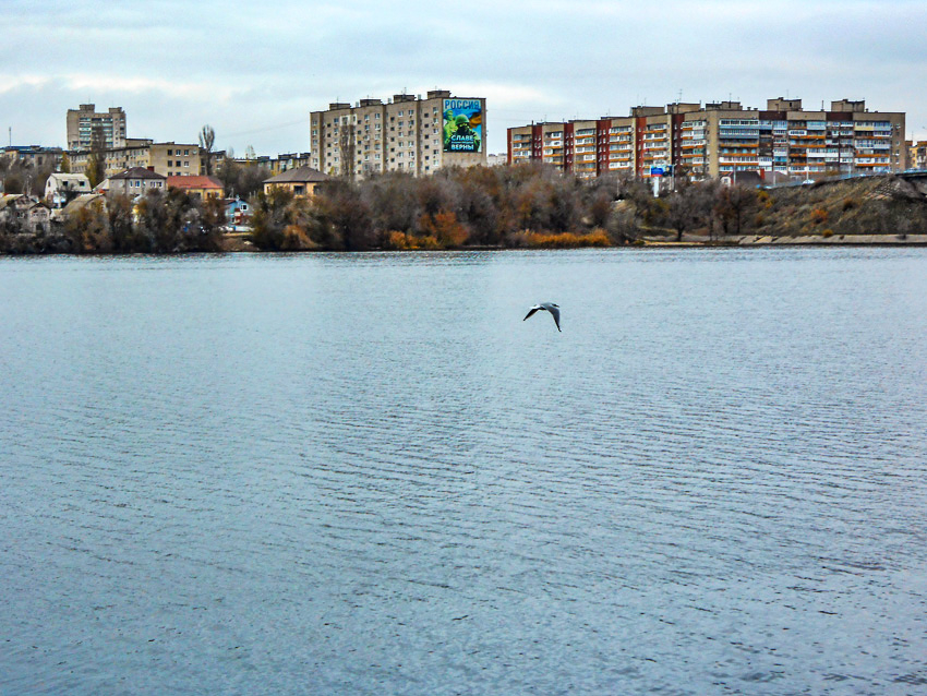 Новые отключения проведут коммунальщики Камышина сегодня, 14 ноября