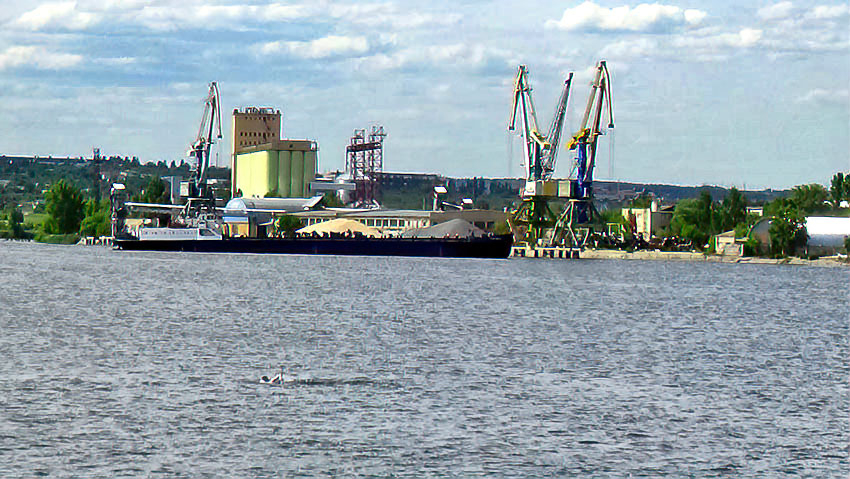 Масштабный проект создания площадки для хранения зерна реализуется в Камышинском районе