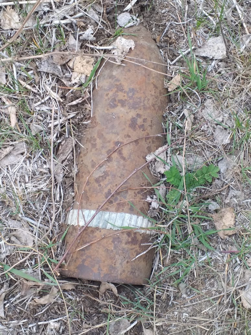 В Камышинском районе у хутора Карпунин пастух нашел снаряд времен Великой Отечественной