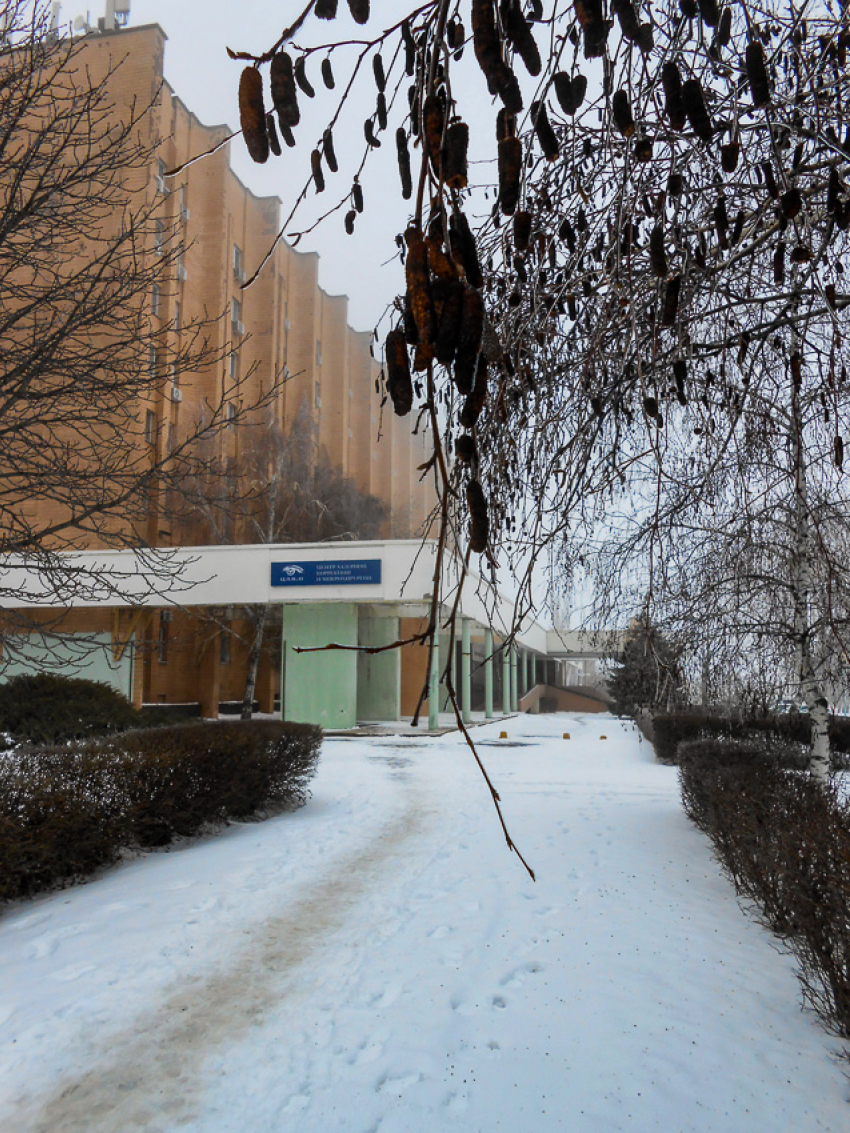 "Ноль", снегодождь и геомагнитный шторм: погода в Камышине 9 января