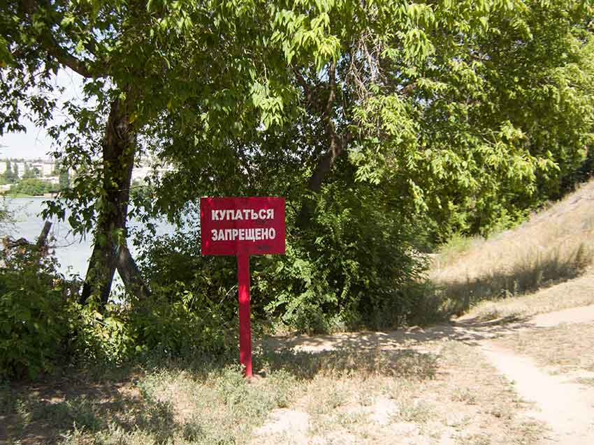 На берегу зацветшей до вязкого болота Камышинки стали появляться таблички «Купаться запрещено"