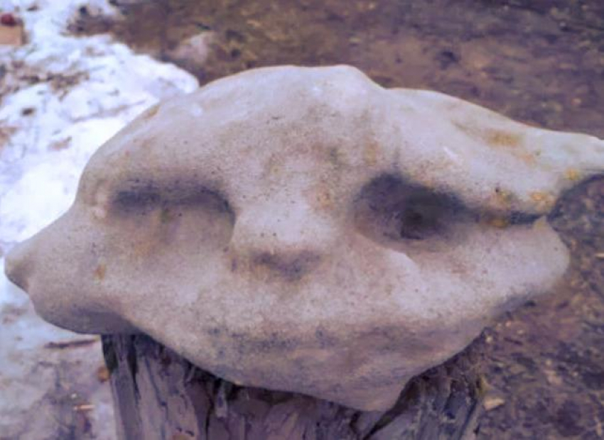 Камень «с глазами» продает камышанин за... 10 миллионов!