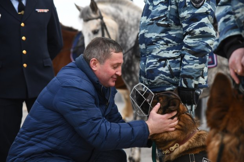 Губернатор Андрей Бочаров потрепал по загривку полицейских лошадей и погладил овчарок