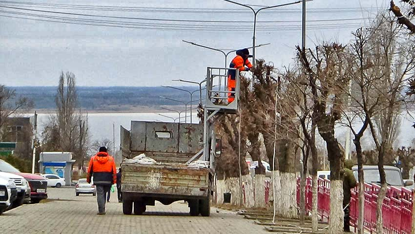 В Камышине начали одевать вязы на улице Ленина проводами для новогодней иллюминации