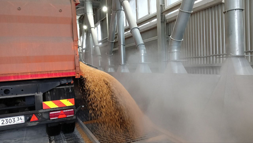 ООО «Камышинская зерновая компания» названа среди лидеров по мощностям для хранения зерна в Волгоградской области 