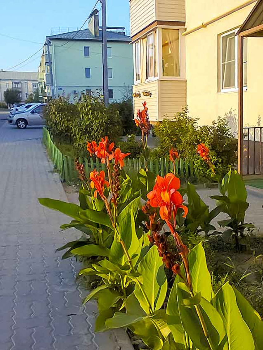 Московское время скоро вернется в Волгоградскую область: Госдума приняла законопроект на рассмотрение, - «Блокнот Волгограда"