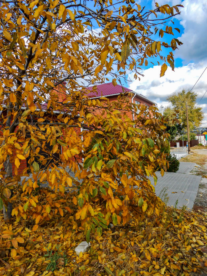 Густой туман с утра опустился на город, но днем проглянет солнце: погода в Камышине 15 ноября