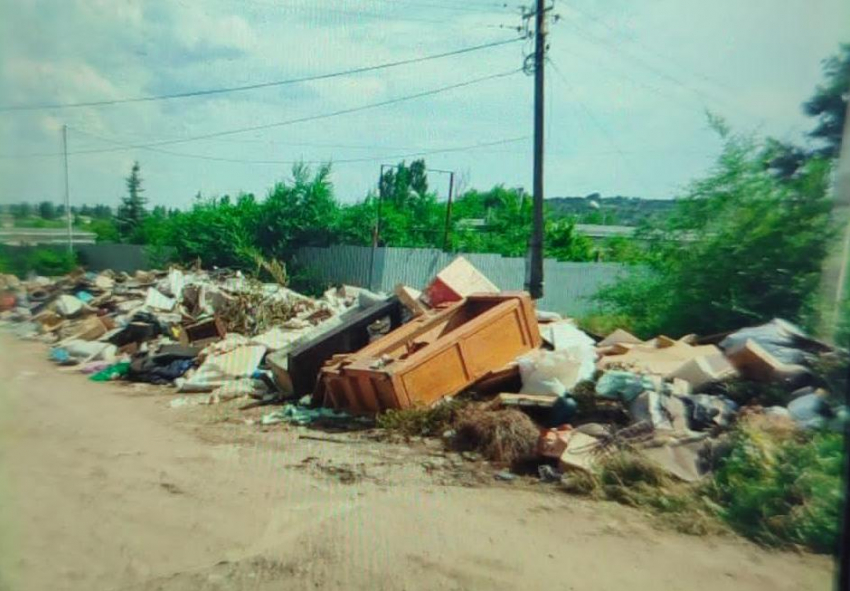 На что жители Волгоградской области, в том числе камышане, жалуются в Роспотребнадзор?