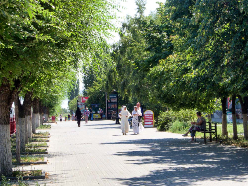  В Волгограде откроются участки для голосования избирателей с новых территорий на выборах депутатов ДНР, ЛНР, Запорожской и Херсонской областей