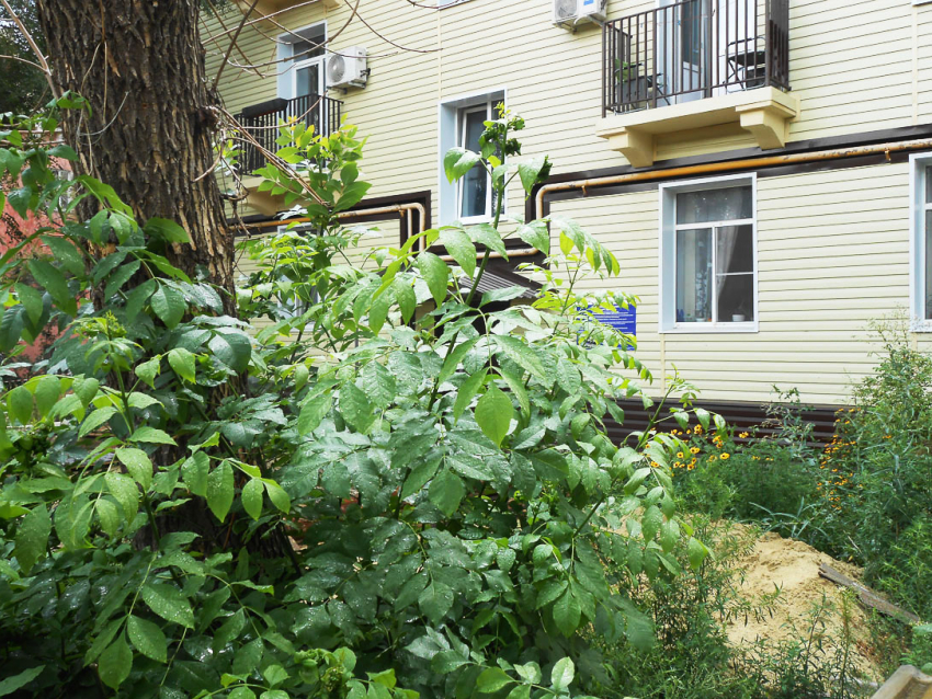 В Камышине сегодня, 12 августа, вновь отключают электричество, и не только, в десятках домов