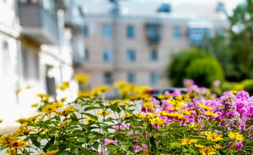 В Волгоградской области начнут опускаться туманы из-за перепада температур