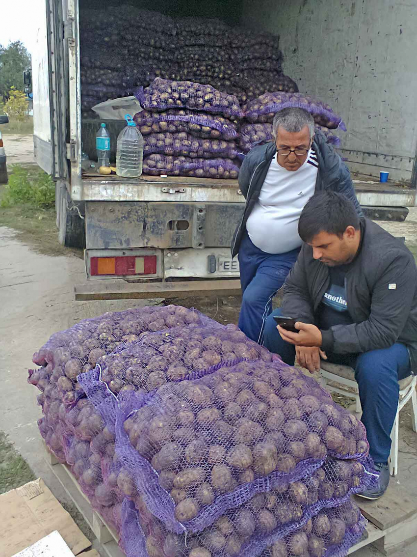На камышинских рынках привозную картошку на зиму можно купить дешевле, чем местную