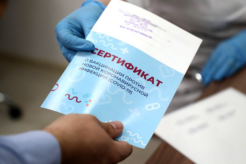 Полиция столкнулась с поставленными на поток подделками сертификатов о вакцинации от коронавируса в Волгоградской области