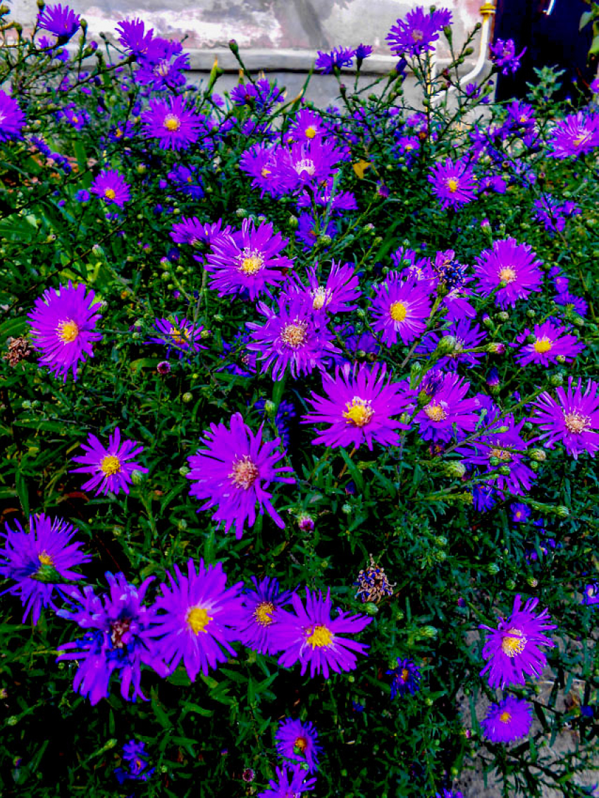 В Камышине 15 сентября будет очень солнечно, но разыграется 5-балльная магнитная буря