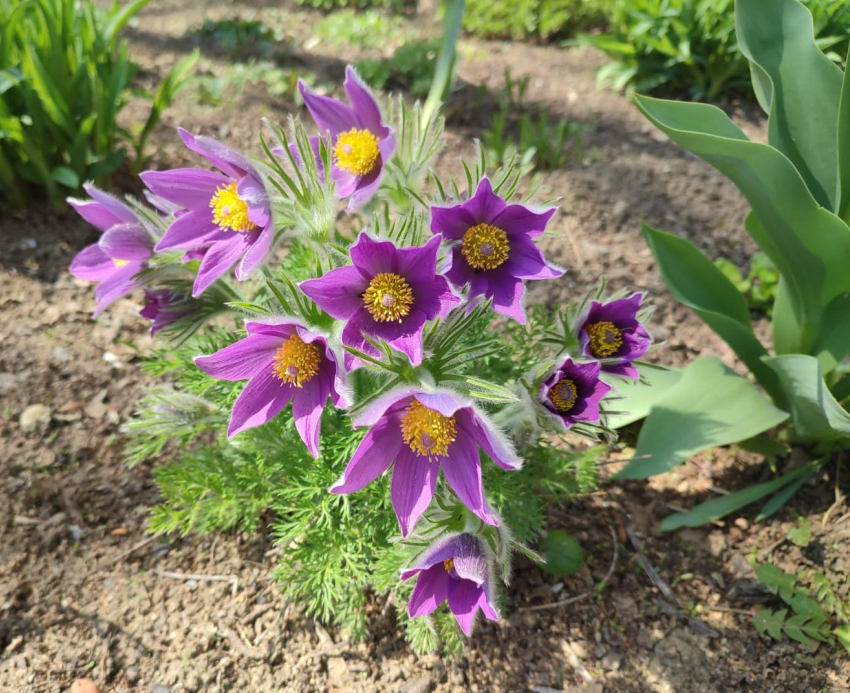 Камышан будет испытывать на прочность космический шторм в выходные