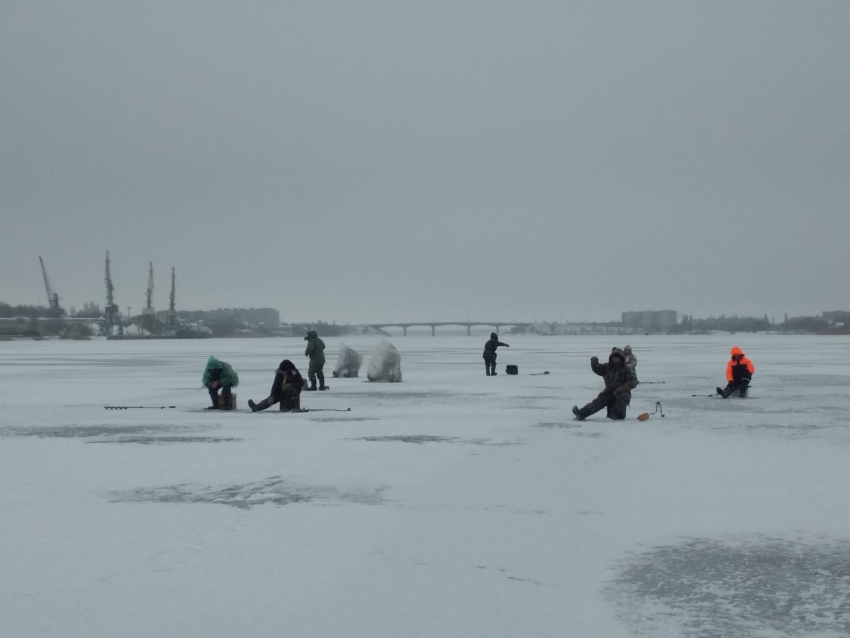 Отчаянные камышинские рыбаки наплевали на строгие запреты спасателей и расселись на льду по всей реке
