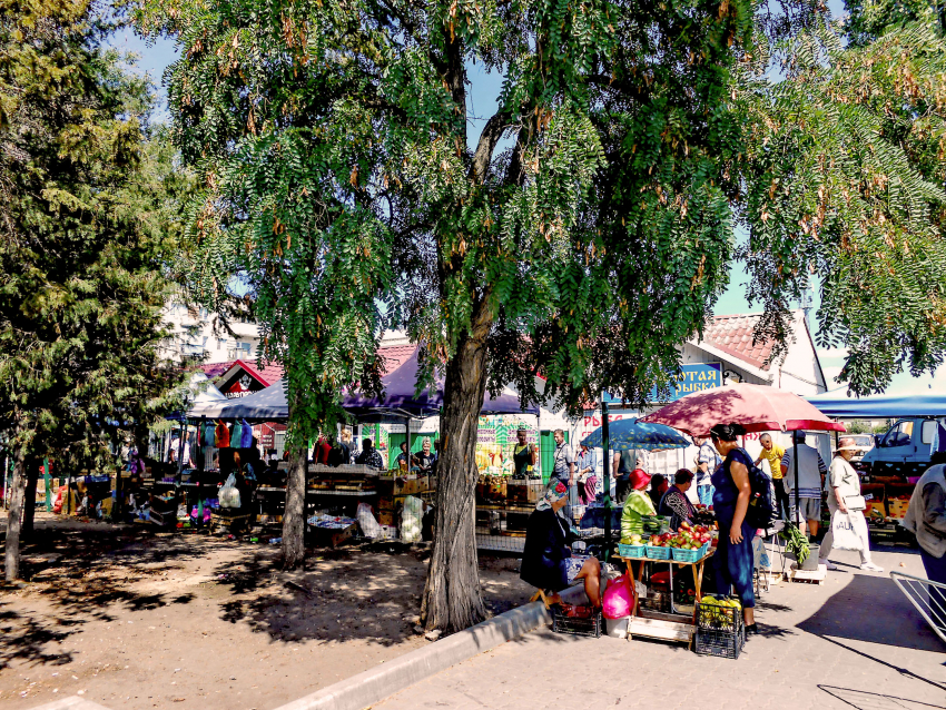 Статистики заявили, что в Волгоградской области жители зарабатывают по 65 тысяч рублей в месяц 