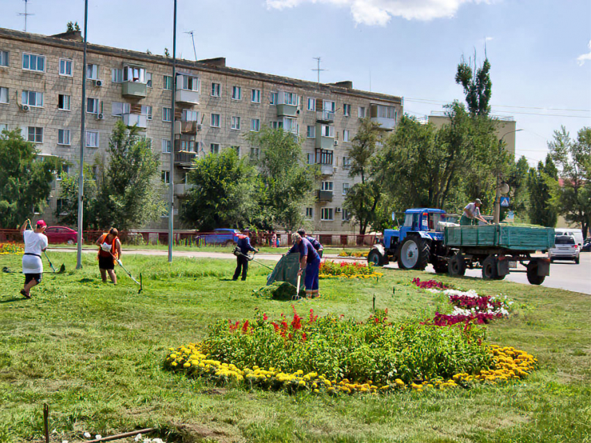 В Камышине службы благоустройства вышли выкашивать траву на цветнике на площади Героя России Александра Колгатина