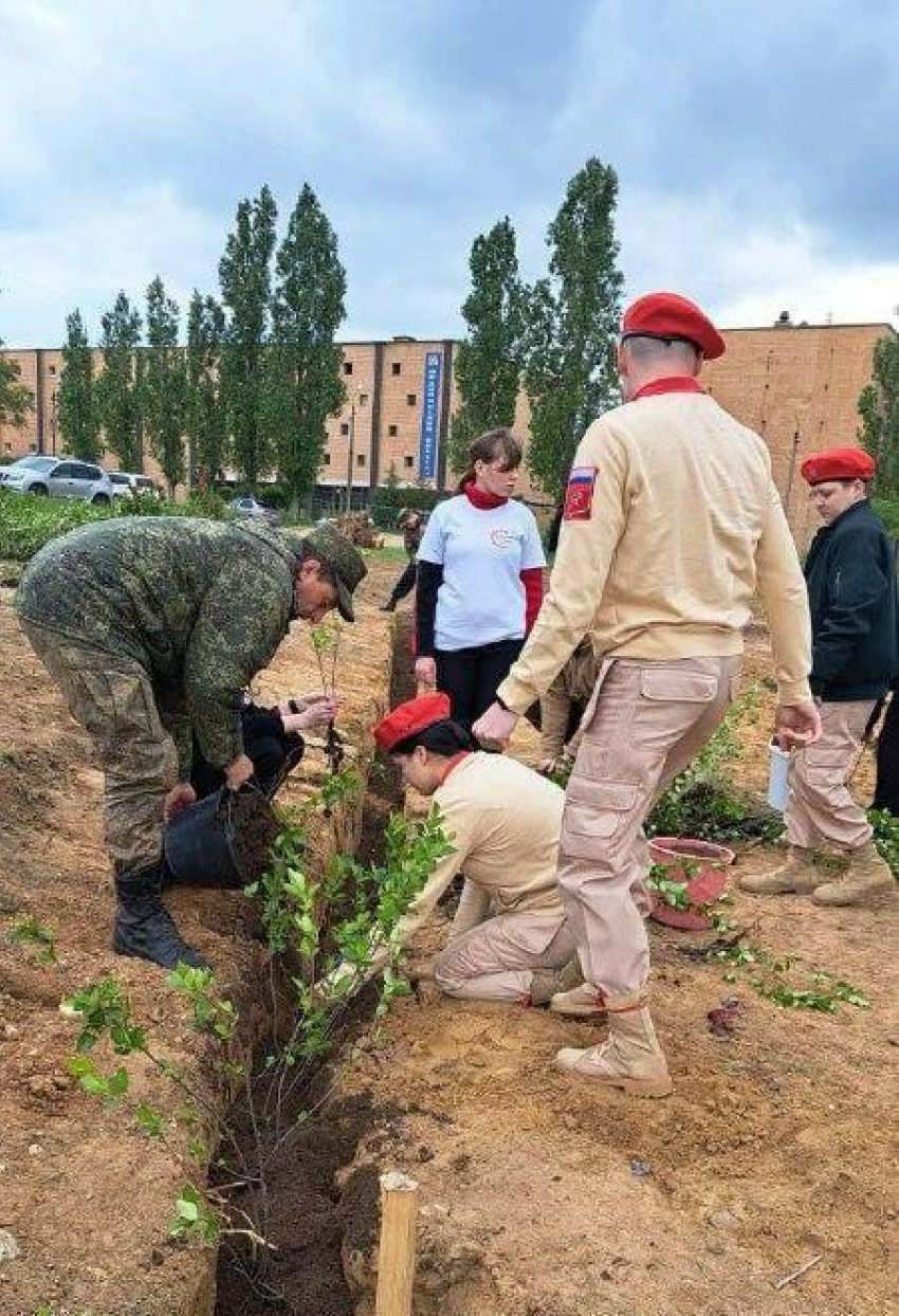 Военные и юнармейцы начали разбивать новый сквер на 3-м городке в Камышине - недалеко от памятника погибшим в СВО