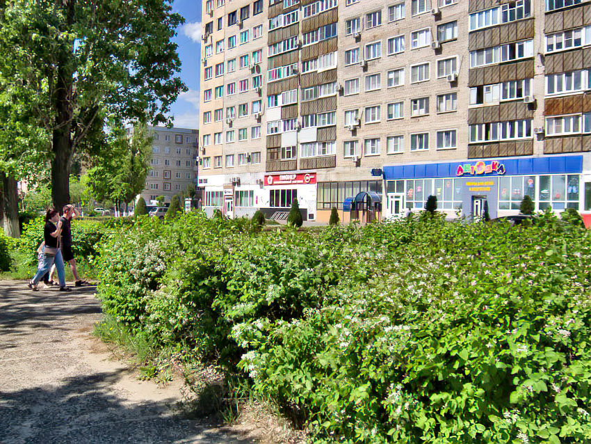 В многоквартирных домах на улицах Некрасова и Базарова отключат электричество сегодня, 18 июля