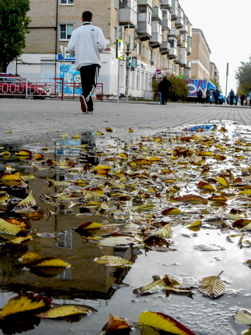 В Камышине полицейские задержали подозреваемого в краже денежных средств