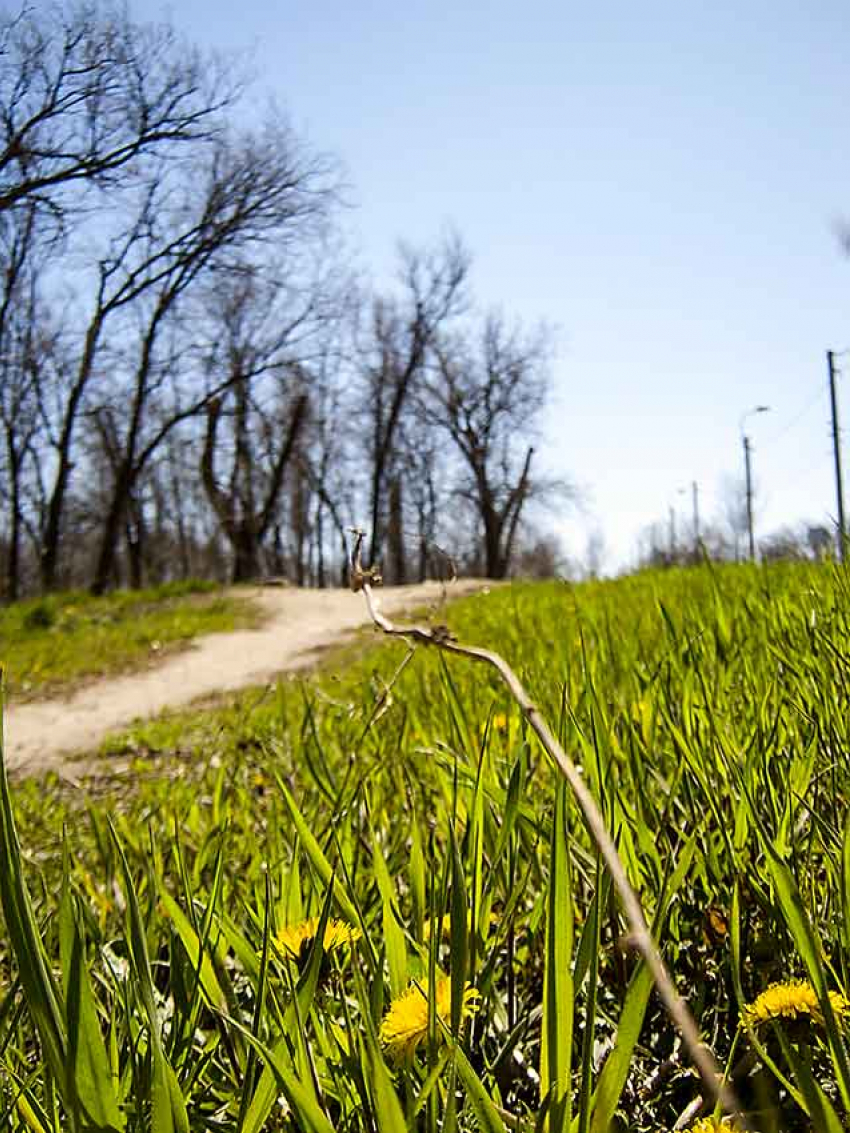 Солнце с утра четверга сменится моросящим дождем в Камышине