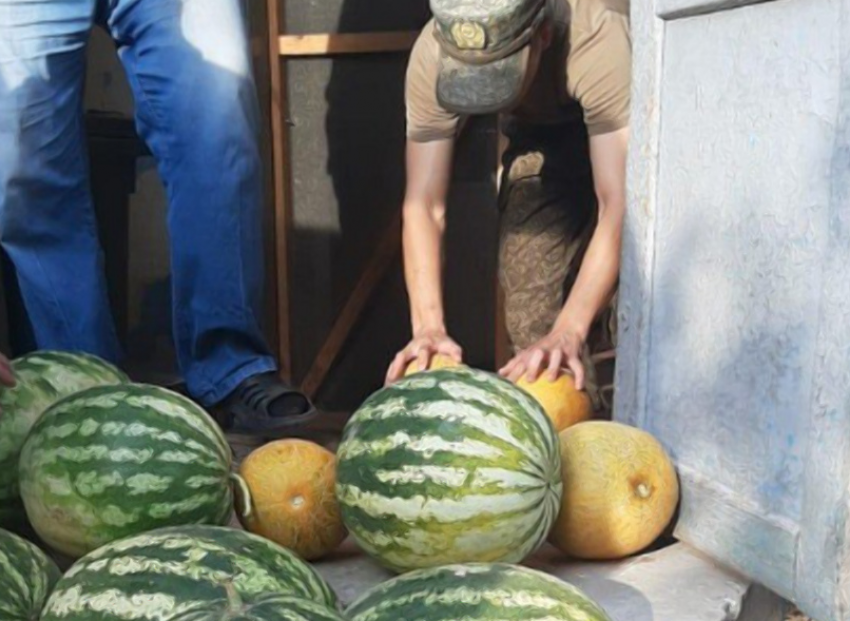 Способ перевезти тонну бахчевых в военный госпиталь для раненых ищут в Камышине (ВИДЕО)