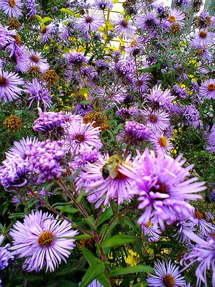 В Камышине за сутки от сегодняшнего погодного показателя в +22 останется только «половина» - все из-за «Барбары"