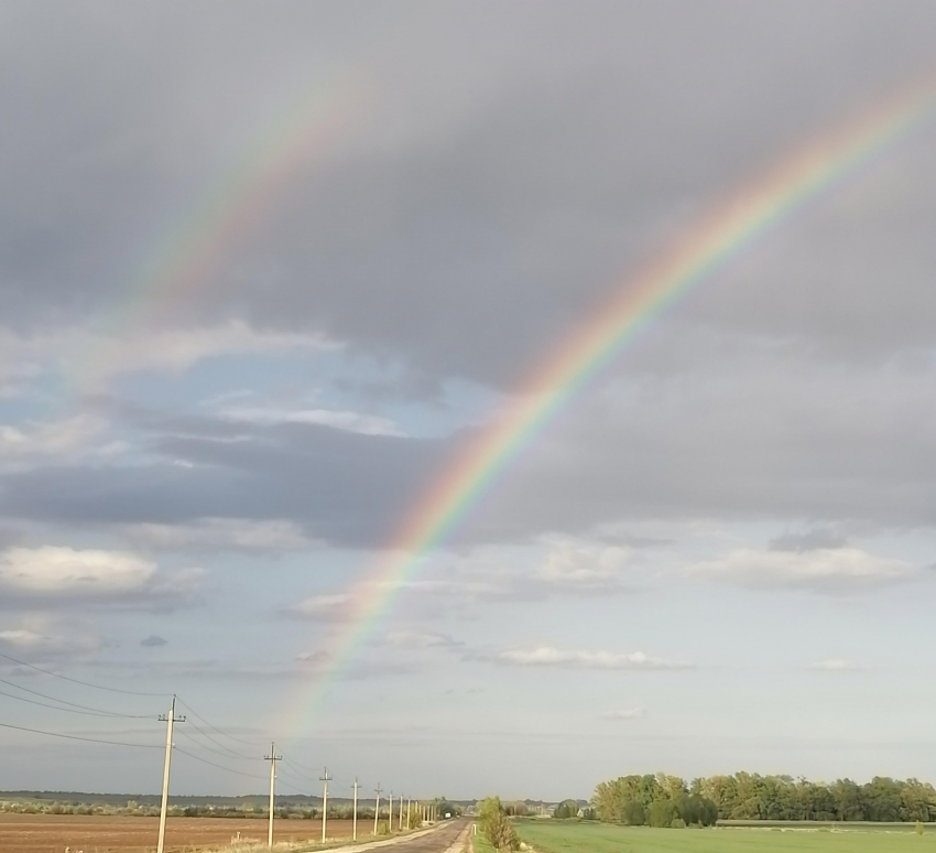 Сегодня, 7 мая, у границы Ольховского и Камышинского районов небо украсила двойная радуга