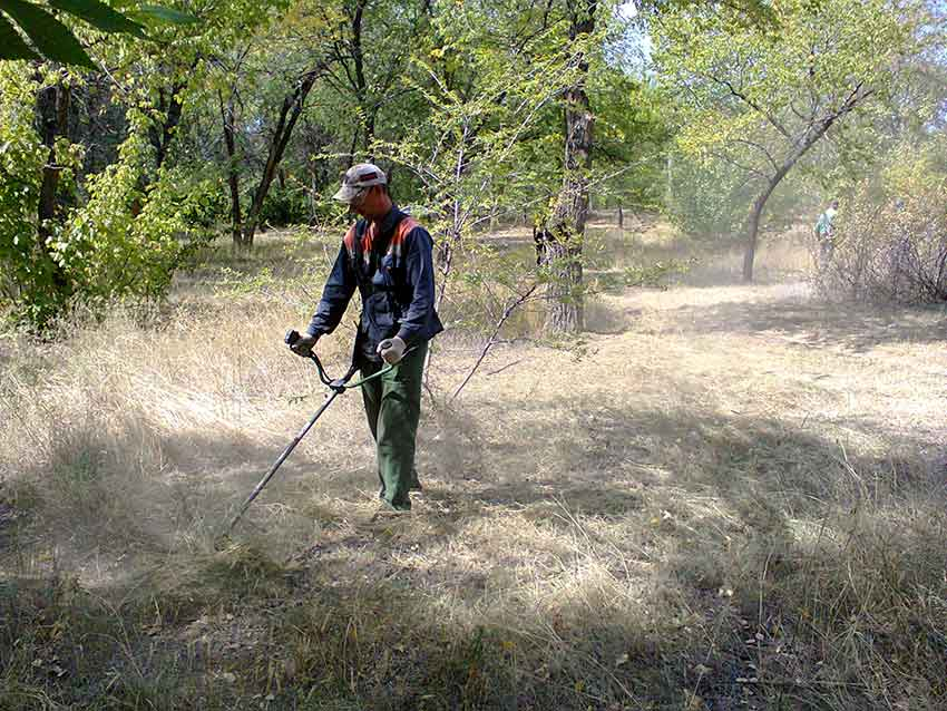 В Камышине в заброшенном парке Текстильщиков решили скосить выжженную траву: пыль стоит столбом