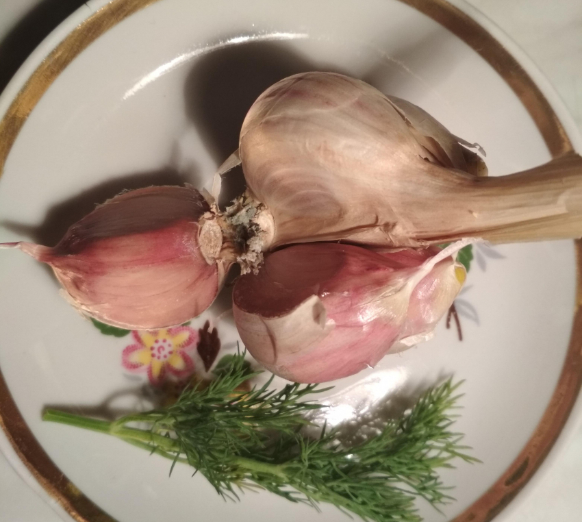 Жителям Волгоградской области сообщили, что от коронавируса нельзя спастись чесноком и антибиотиками, - «Блокнот Волгограда"