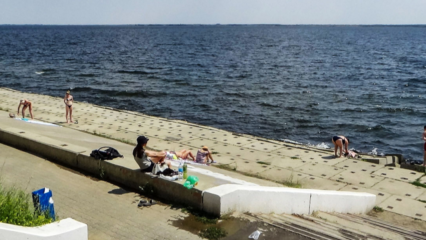 Камышане устроили дикий пляж на плитах в 6-м микрорайоне - змеи купальщиков не останавливают! (ВИДЕО)