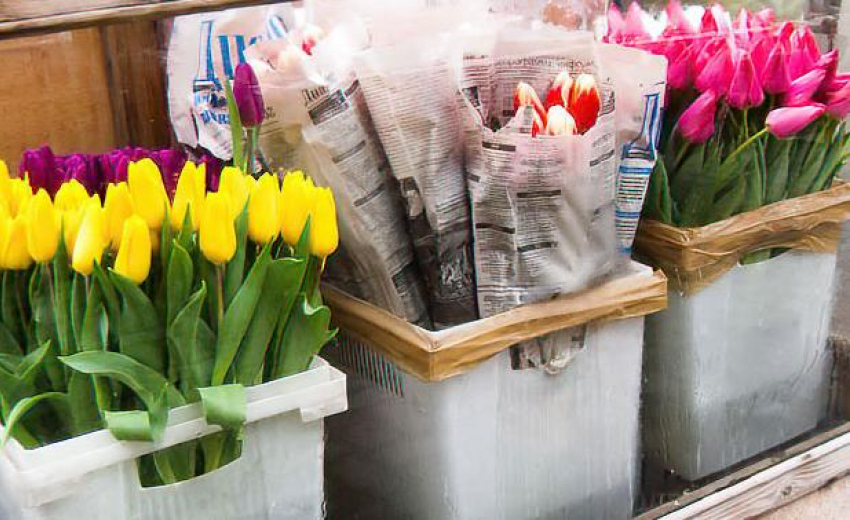 Камышанам пообещали стремительную волну мартовского потепления